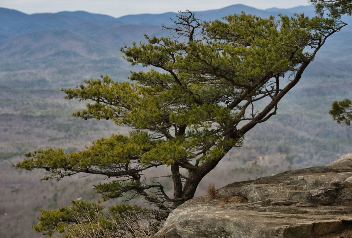 Mountain overlook near Clarkesville, GA, the setting for Apple Mountain's 2 bedroom apartments