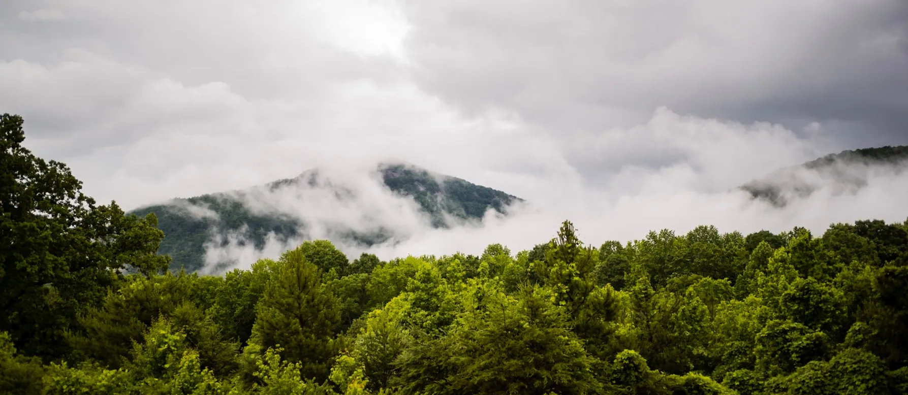 Morning fog drifting over the north Georgia mountains