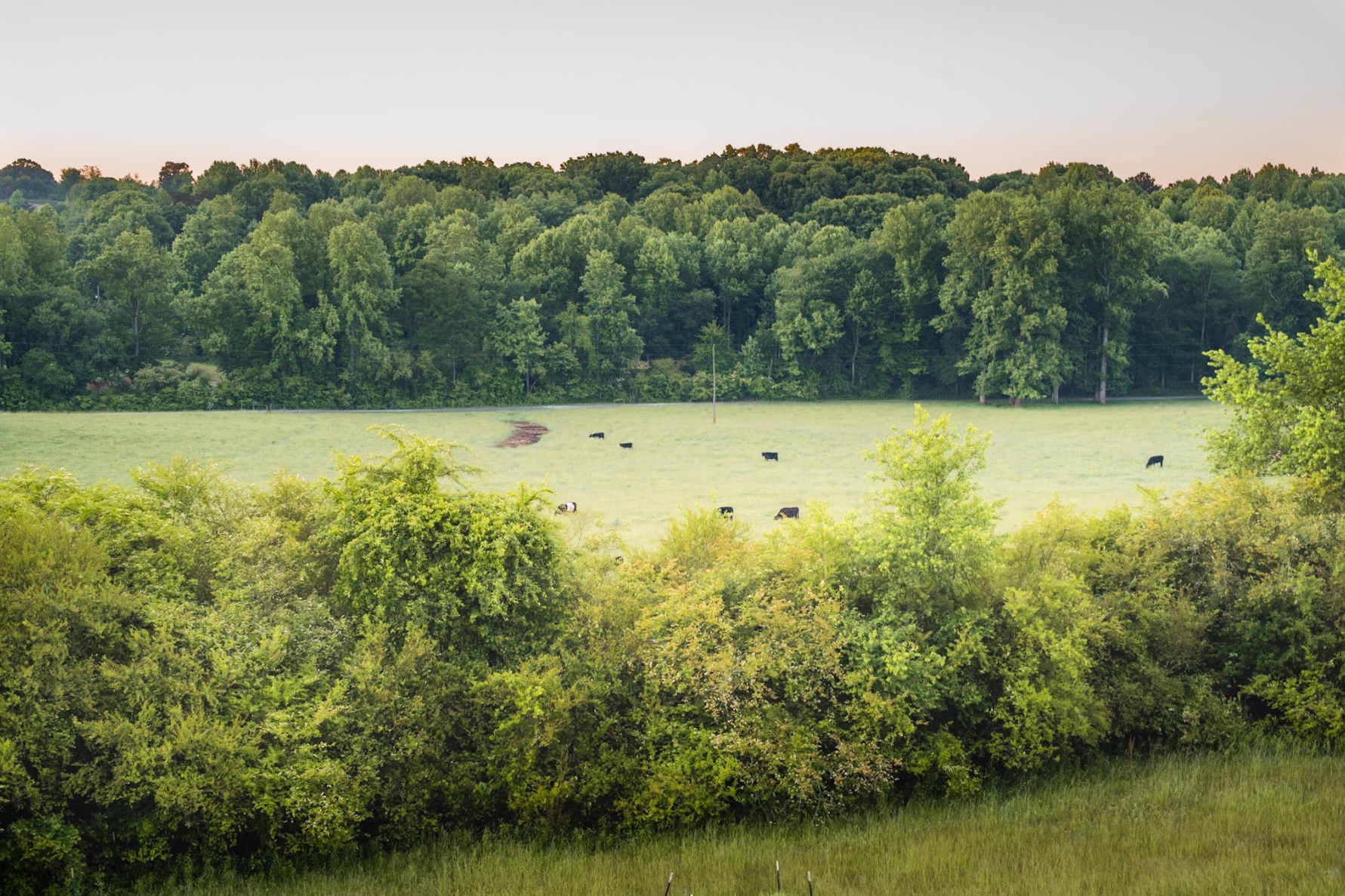 North Georgia pasture at sunset