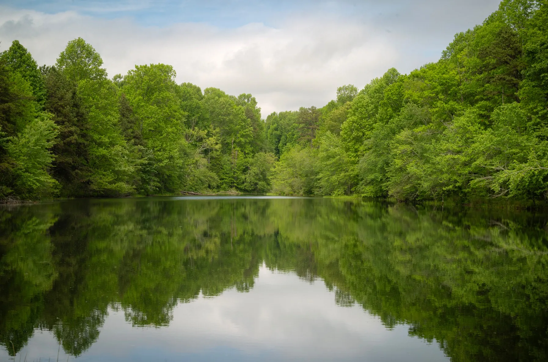 Tranquil mountain lake reflecting the forest in northeast Georgia