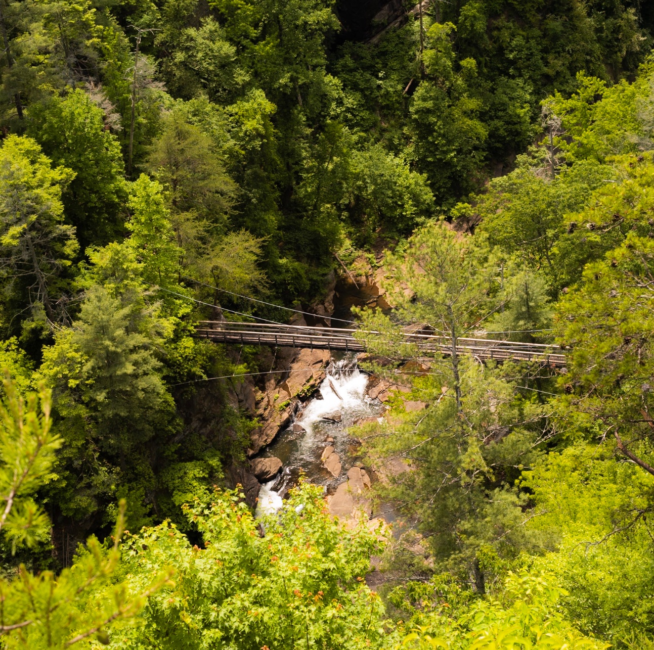 Suspension bridge over Tallulah Gorge in northeast Georgia